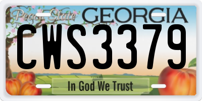 GA license plate CWS3379
