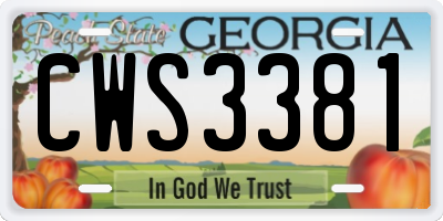 GA license plate CWS3381