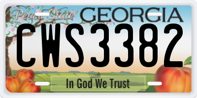 GA license plate CWS3382