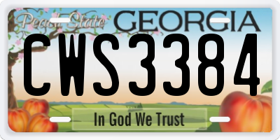GA license plate CWS3384