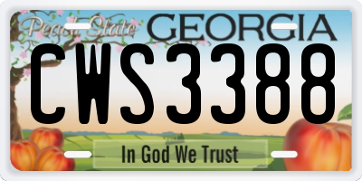 GA license plate CWS3388