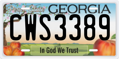 GA license plate CWS3389