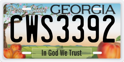 GA license plate CWS3392