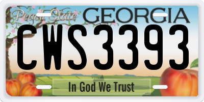 GA license plate CWS3393