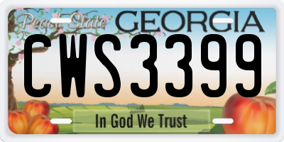 GA license plate CWS3399