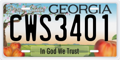 GA license plate CWS3401