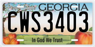 GA license plate CWS3403