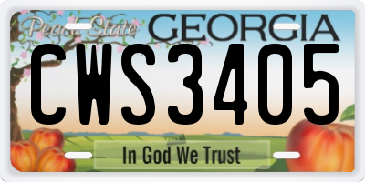 GA license plate CWS3405