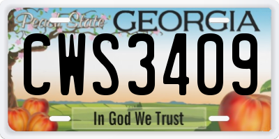 GA license plate CWS3409