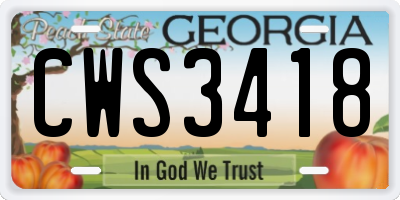 GA license plate CWS3418