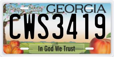 GA license plate CWS3419