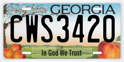 GA license plate CWS3420