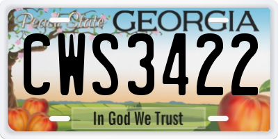 GA license plate CWS3422