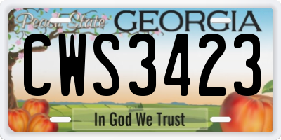 GA license plate CWS3423