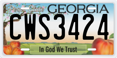 GA license plate CWS3424