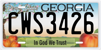GA license plate CWS3426