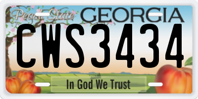 GA license plate CWS3434