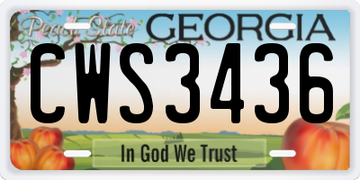 GA license plate CWS3436
