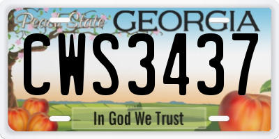 GA license plate CWS3437