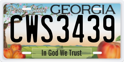 GA license plate CWS3439