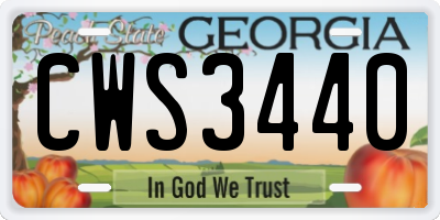 GA license plate CWS3440