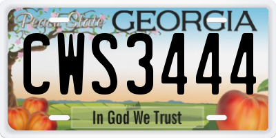 GA license plate CWS3444