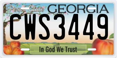 GA license plate CWS3449