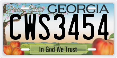 GA license plate CWS3454