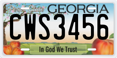 GA license plate CWS3456