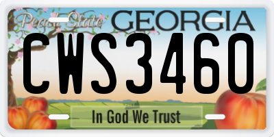 GA license plate CWS3460