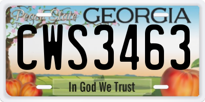 GA license plate CWS3463
