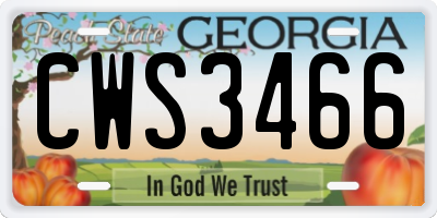 GA license plate CWS3466