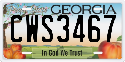 GA license plate CWS3467