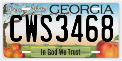 GA license plate CWS3468