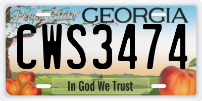 GA license plate CWS3474