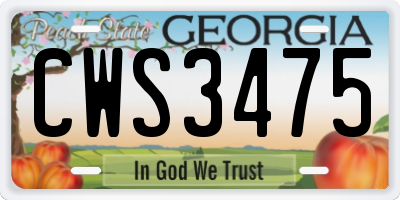GA license plate CWS3475