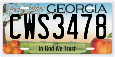 GA license plate CWS3478