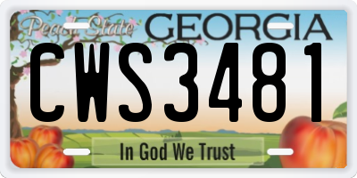 GA license plate CWS3481
