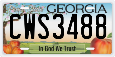 GA license plate CWS3488