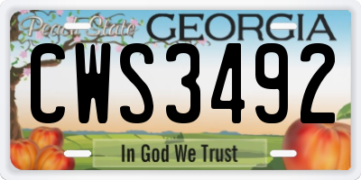 GA license plate CWS3492