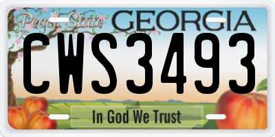 GA license plate CWS3493
