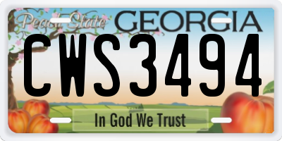 GA license plate CWS3494
