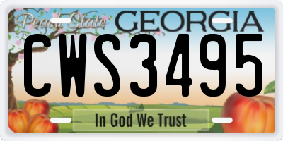 GA license plate CWS3495