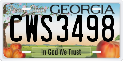 GA license plate CWS3498