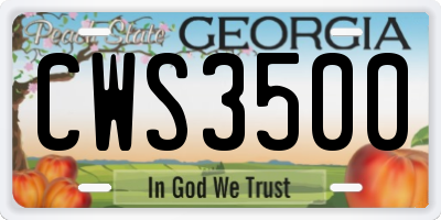 GA license plate CWS3500