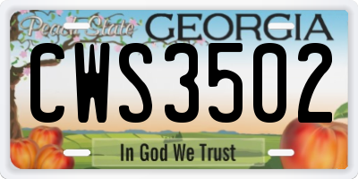 GA license plate CWS3502