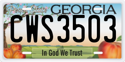 GA license plate CWS3503