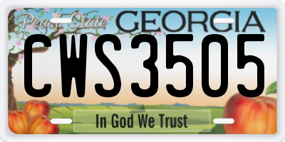 GA license plate CWS3505
