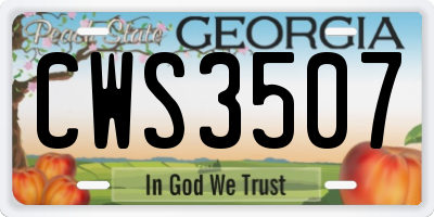 GA license plate CWS3507