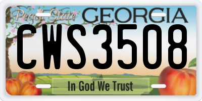 GA license plate CWS3508